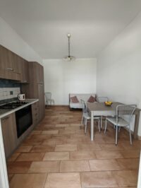 IMG_20250519_151138 IMG_20250519_151138