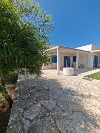 IMG_20250519_151841 IMG_20250519_151841