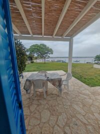 IMG_20250520_171952 IMG_20250520_171952